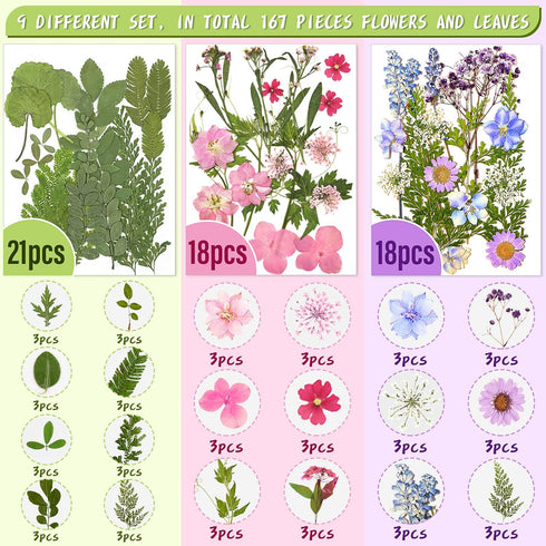 Nuanchu 167 Pcs Real Dried Pressed Flowers Natural Dried Flowers Colorful Daisy Mixed Wildflowers Leave for DIY Candle Resin Nails Jewelry Pendant...