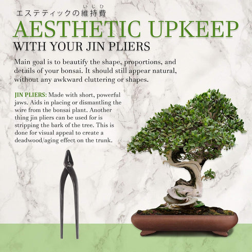 BambooMN 9" Jin Pliers Tool - 1 Piece...