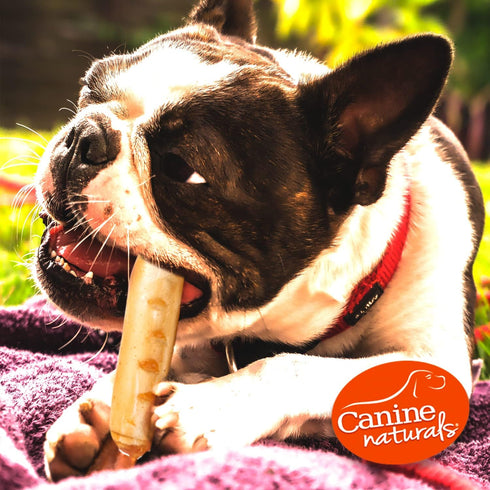 Canine Naturals Chicken Recipe Chew - Rawhide Free Dog Treats - Made from USA Raised Chicken - All-Natural and Easily Digestible - 2 Pack of 9 Inc...