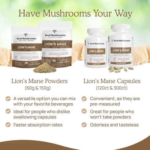 Lion’s Mane Powder - Organic Lions Mane Mushroom Extract with Immunomodulating Properties & Antioxidants - Vegan Mushroom Supplement, 60 Servings...