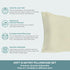 Spasilk Pure Silk Pillowcase, Charmeuse Silk Pillowcase, Hypoallergenic, Queen Sized, Ivory...