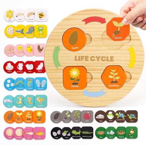 Life Cycle Toys for Kids, 12 Themes Montessori Preschool Science Center Materials, Wooden Learning & Educational Toys for Toddlers, Learning Game ...
