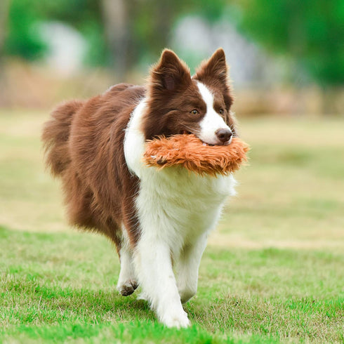 Star Wars for Pets Plush Chewbacca Flattie Dog Toy | Soft Star Wars Toys for Dogs, Brown, Large - 9" | Cute Dog Toy, Squeaky Dog Chew Toy for Pets...