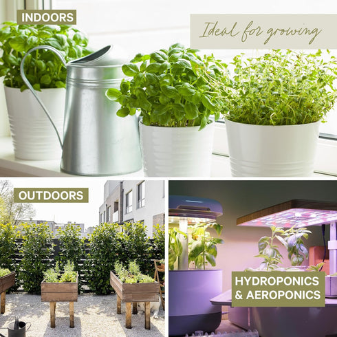 15 Certified Organic Herb Seeds Variety Pack (4X More) 10,000+ Non GMO Seeds for Planting Indoor Herb Garden or Outdoor Herb Garden Seeds for Plan...