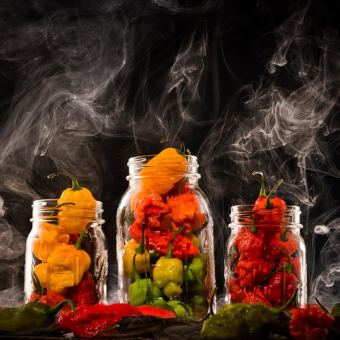 Hellfire Hot Sauce Infierno De Ajo Rojo - Gourmet Red Salsa Hot Sauce With Garlic and Carolina Reaper Peppers, 5 oz....