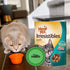 Irresistibles Soft Cat Treats, 3 oz Pouches, Salmon Cat Treats, Silicon Pet Bowl Bundle, Natural Ingredients, No Artificial Preservatives, Perfect...
