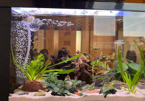 Artificial Fish Tank Plants Silk Aquarium Plastic Plant Aquatic Water Grass Foreground Decor (2PCS Plastic Plants)...