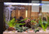Artificial Fish Tank Plants Silk Aquarium Plastic Plant Aquatic Water Grass Foreground Decor (2PCS Plastic Plants)...