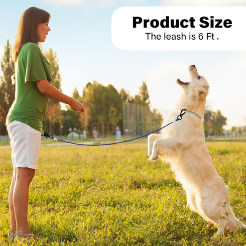 4/5/6 FT Chew Proof Dog Leashes with Comfortable Handle, Steel Cable Lead for Control Large or Medium Dogs Walk and Train, Heavy Duty with Rotate ...