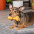 Pet Factory American Beefhide 4-5" Knotted Bones Dog Chew Treats - Chicken Flavor, 8 Count/1 Pack...