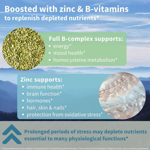 Advanced Ashwagandha KSM-66, L-Theanine & Magnesium, Clean Label, Multi Action Adaptogen Complex for Stress Support with Zinc & B Vitamins, 60 Veg...