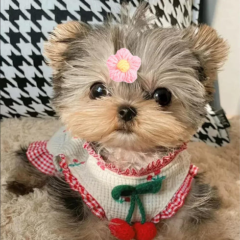 PET SHOW 10Pairs/Pack Flower Dog Hair Bows for Small Medium Dogs Yorkie Girl Boy Flower Bows with Rubber Band Doggies Cat Grooming Hair Accessorie...