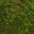 BYHER Natural Green Moss Decorative Ball,Handmade (2"-Set of 12)...