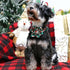 ARING PET Christmas Dog Collar-Green Santa Claus Dog Collar with Flower, Adjustable Cotton Christmas Pet Collars Girl Puppy Collars...