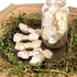 Pet Factory American Beefhide 4-5" Knotted Bones Dog Chew Treats - Natural Flavor, 8 Count/1 Pack...