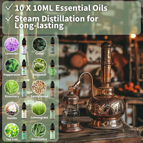 Essential Oils Set 10 Scents-Diffuser Oils for Home,Essential Oils Scents for Diffusers,Home, Aromatherapy,Candle&Soap,Aromatherapy…...