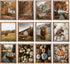 JarThenaAMCS 12Pcs Fall Wall Art Prints Country Autumn Landscape Art Poster Realistic Nature Scenery Wall Decor for Seasonal Home Gallery Living R...