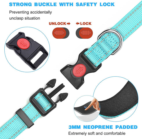 Reflective Dog Collar with Safety Locking Buckle, Adjustable Padded Nylon Pet Collars for Small Dogs...