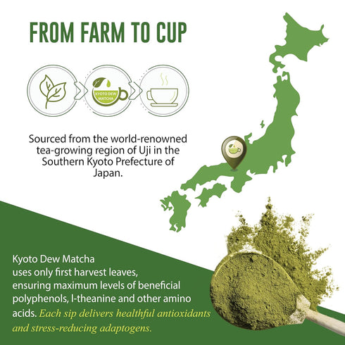 Kyoto Dew Matcha – Organic Premium Ceremonial Grade Japanese Matcha Green Tea Powder – No Fillers, Zero Sugar – USDA & JAS Certified, 30g (1oz) Ti...