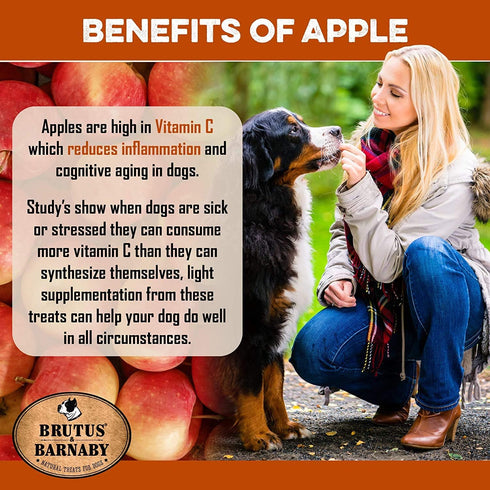BRUTUS & BARNABY USA Sweet Potato Dog Treats - Crunchy Grain Free Cinnamon Apple Sticks, Promotes Positive Gut Health with Natural Anti-Diarrhea P...