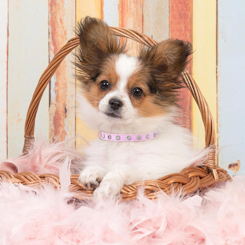 Small Dog Collars Rhinestones Pet Dog Collars Bling Diamond Puppy Collars Glitter Jewel Puppy Collar for Small Dog Pet, XS...