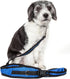 Pet Life ® Echelon Hands Free and Convertible 2-in-1 Training Dog Leash and Pet Belt with Pouch...