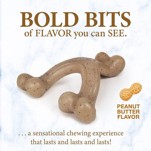 Nylabone Dog, Puppy Gourmet Style Strong Chew Toy Wishbone Peanut Butter Small/Regular (1 Count)...
