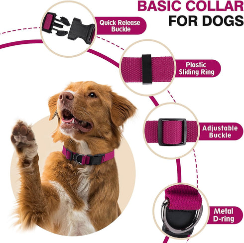 Large Dog Collar Girl Boy, Classic Dog Collar for Mini Dogs Female Male Pet Cats Puppy Collar, Extra Small Dog Collar for Litter with Buckle, D-Ri...