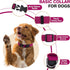 Large Dog Collar Girl Boy, Classic Dog Collar for Mini Dogs Female Male Pet Cats Puppy Collar, Extra Small Dog Collar for Litter with Buckle, D-Ri...