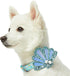 Blueberry Pet Summer Sparkle Dog Collar, Adjustable Medium Size, Neck 14.5"-20", Turquoise, Ocean Fish and Seahorse Print Nautical Pet Collar with...