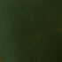 Liquitex BASICS Acrylic Paint, 250ml (8.5-oz) Tube, Hooker’s Green Hue Permanent...