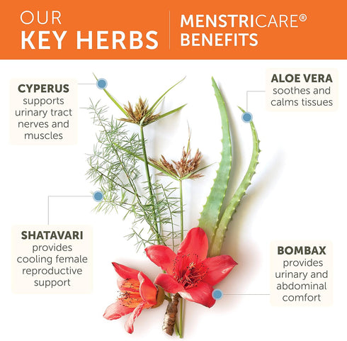 Himalaya MenstriCare, 30 Day Supply - Supports PMS, Menstrual Cramp Relief, and Hormone Balance for Women - Vegan, Non-GMO, Gluten Free, 120 Capsu...