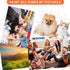 12 Sets Blank White Jigsaw Puzzles,Sublimation Puzzle Craft,White DIY Custom Puzzle for Heat Press Thermal Transfer Puzzle Craft(A5-20 Style)...