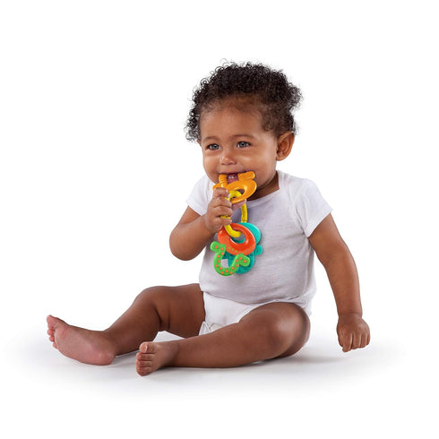 Bright Starts Teeth Relief 8pc Gift Set - BPA-Free Baby Teethers, Refrigerated Teething Toys, Unisex, 3 Months+...