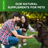 Natural Antibiotics for Dogs | Dog Antibiotics | Supports Dog Allergy Relief | Dog Itch Relief | Dog Allergy Support | Dog Multivitamin | Pet Anti...