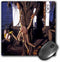 3dRose LLC 8 x 8 x 0.25 Inches Mouse Pad, Man Holding Bering Sea King Crab (mp_49328_1)...