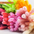 200PCS Upgraded Yellow Pipe Cleaners Bulk Craft Chenille Stems DIY Art Supplies Colorful Thick Fluffy Fuzzy Wire Sticks for Kids and Adults...