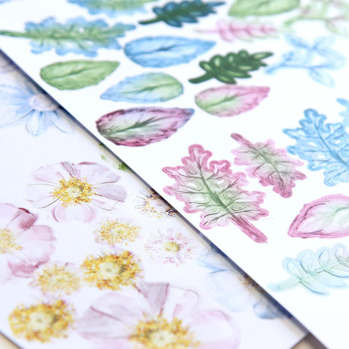 Katy Sue 'ICY Watercolour' Die-Cut/Paper Tole Flowers & Leaves. Contains 12 Letter Sized Sheets - 8 of Die Cut Flowers & 4 of Die Cut Leaves in Bl...