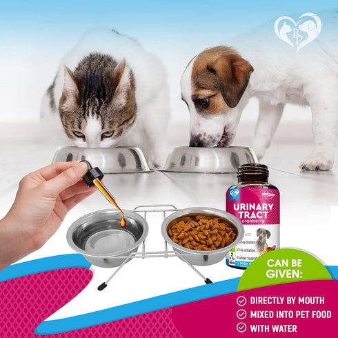 Cat & Dog Urinary Tract Infection Treatment & Natural UTI Medicine Cranberry-Kidney+Bladder Support Supplement - Best Prevention Incontinence, Bla...