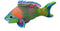 Wild Republic Coral Reef, Parrotfish, Stuffed Animal, 6 inches, Gift for Kids, Plush Toy, Fill is Spun Recycled Water Bottles...