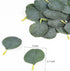 Meiliy 300pcs Bulk Eucalyptus Leaves Artificial Greenery Fake Green Leaves for DIY Wreath Wedding Boutonnieres Corsages Baby Shower Cake Flower De...