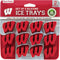 MasterPieces NCAA Wisconsin Badgers Ice Cube Tray (Set of 2)...