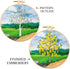 B.Embroidery Hand Sewing kit with Pattern and Full Instructions, Blossom Golden Shower Tree Embroidery Starter kit with a Colorful awhite Backgrou...
