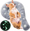 Grow in Dark Dog Pillow...