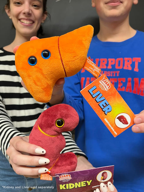 GIANTmicrobes Stuffed Liver Plush, Liver Stuffed Animal, Anatomical Liver, Hepatologist Gift, Liver Transplant Gifts, Hepatitis Gift, Hepatology G...