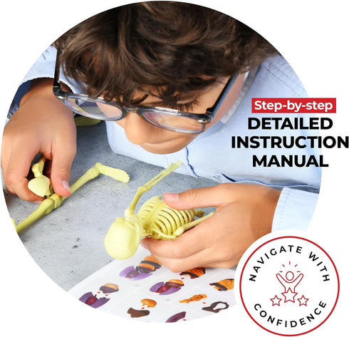 Human Anatomy for Kids Removable Skeleton Model and Torso Human Body for Kids STEM Toys Science Kit Full Body Anatomy Sets for Kids and Teens - 30...