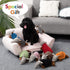 Hollypet Dog Toys, Plush Dog Toys, Squeaky Dog Toys, Stuffed Toys for Small Medium Large All Breed Sizes Dogs, Big Armadillo Animals Toy, Puppy Ch...