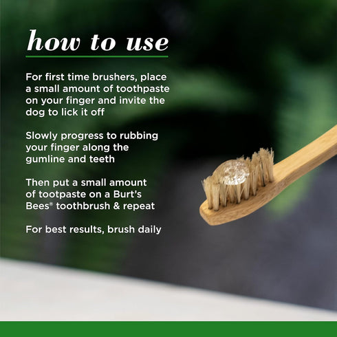 Burt's Bees for Pets Bamboo Bristle Dog Toothbrush - Naturally Derived Dog Toothbrush Made from Bamboo - BPA Free, Ergonomic Handle Toothbrush for...