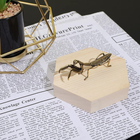 Metal Mantis Brass Praying Mantis Mini Fairy Garden Animal Figurines Lawn Patio Tree Ornaments Sculpture Micro Landscape Ornaments for Backyard De...