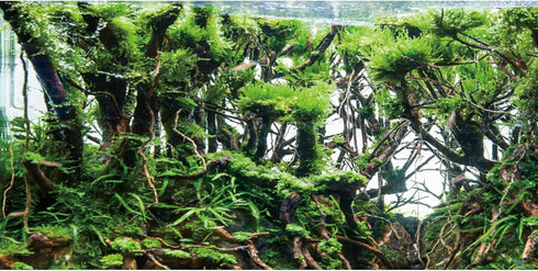 AWERT 72x24 inches Branches Aquarium Background Green Algae Aquarium Background Aquatic Plant River Bed & Lake Fish Tank Background Vinyl Backgrou...